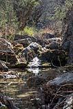 Pedernales Falls Jan 14 2018